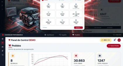 Panel de pedidos de reprogramaciones y desactivaciones GuemaCAR Chiptuning Files Services